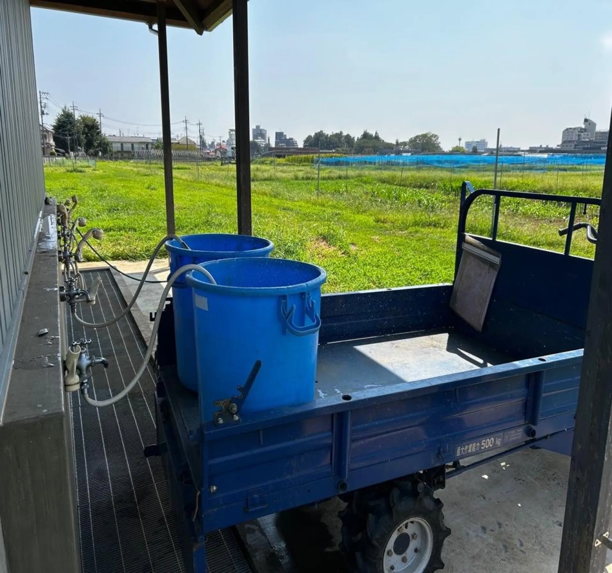 A small blue motorised utility cart under a shed roof, carrying two large blue water buckets with hoses, beside a green field.