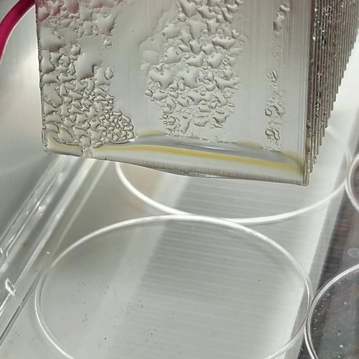 A drop of water falls from our collecting panel into a dish, during a bench test.