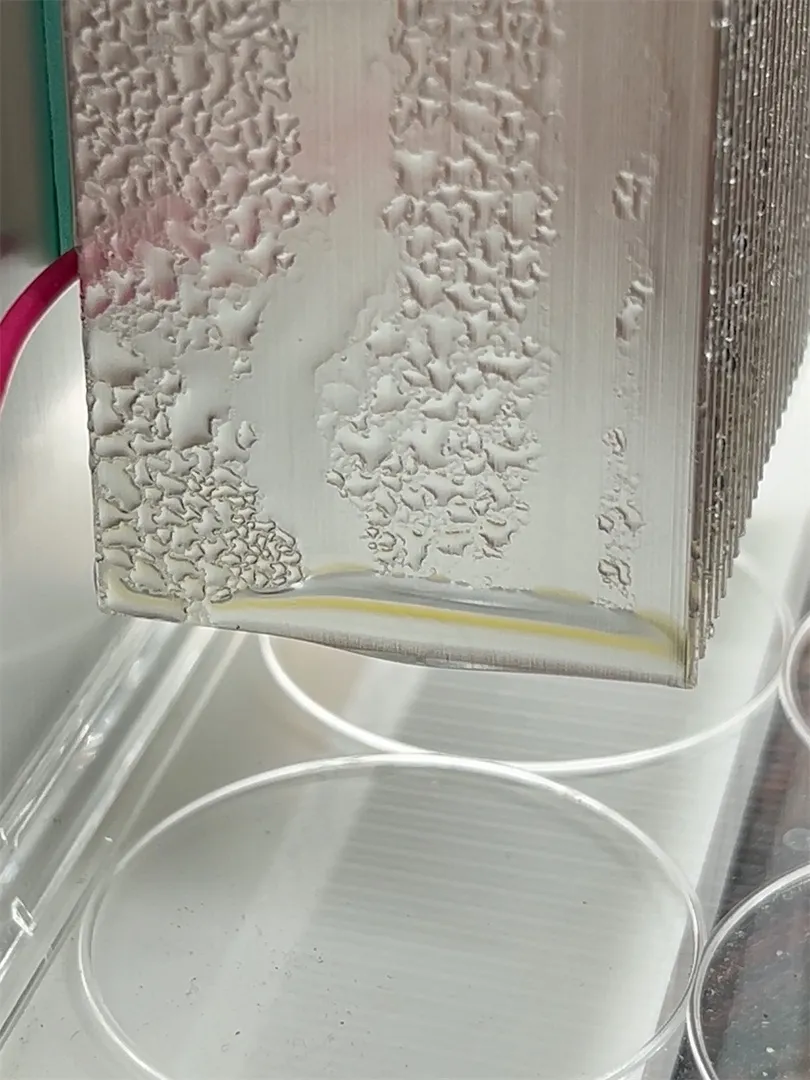 Water drops cover our collecting panel. One falls from its lower edge into a dish.