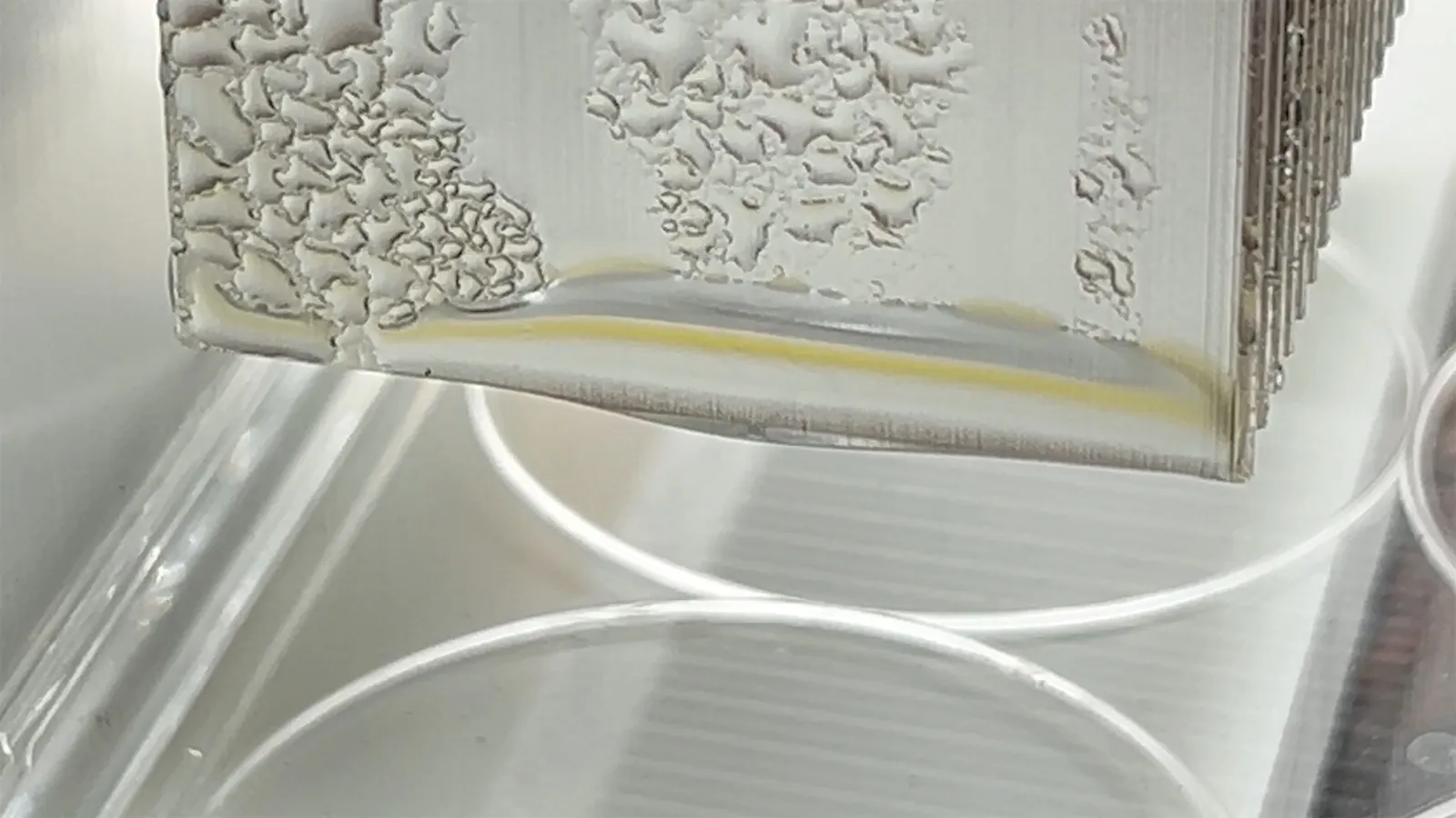 Water drops cover our collecting panel. One falls from its lower edge into a dish.